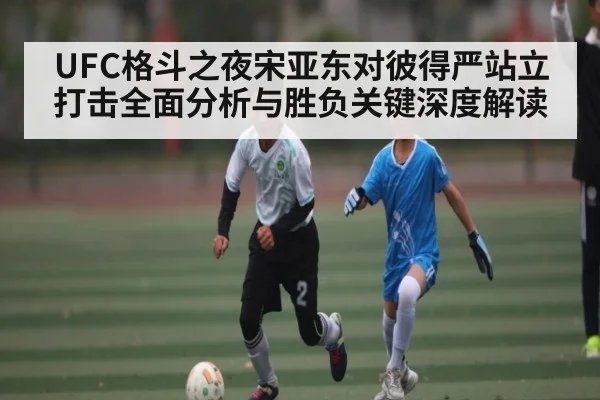 UFC格斗之夜宋亚东对彼得严站立打击全面分析与胜负关键深度解读