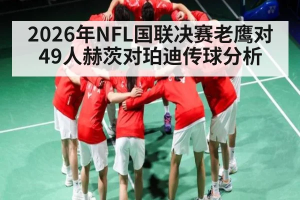 2026年NFL国联决赛老鹰对49人赫茨对珀迪传球分析