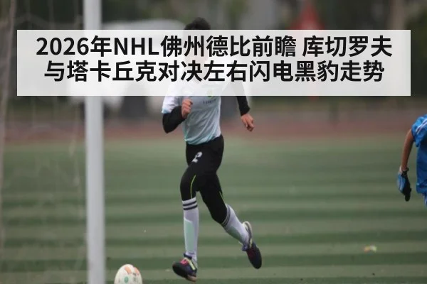 2026年NHL佛州德比前瞻 库切罗夫与塔卡丘克对决左右闪电黑豹走势