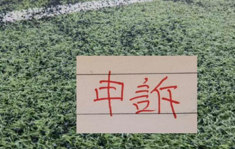 还申诉吗？ 北京国安之前山东申诉成功 成都申诉失败！|山东队|中超|山东泰山|津门虎|沈寅豪_新浪体育_新浪新闻